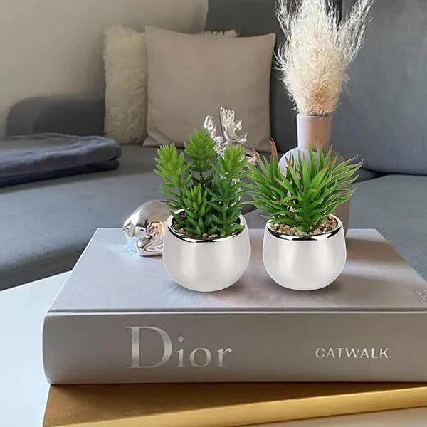 Artificial Silver Pot Plant